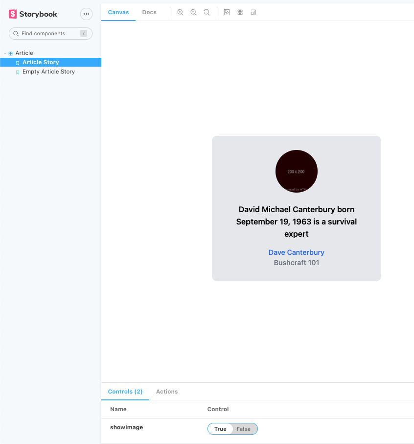 Storybook result with style