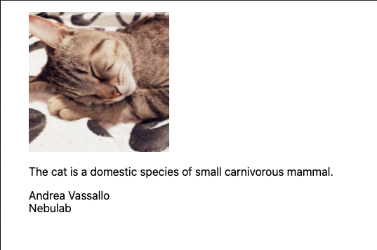 Nextjs without style result